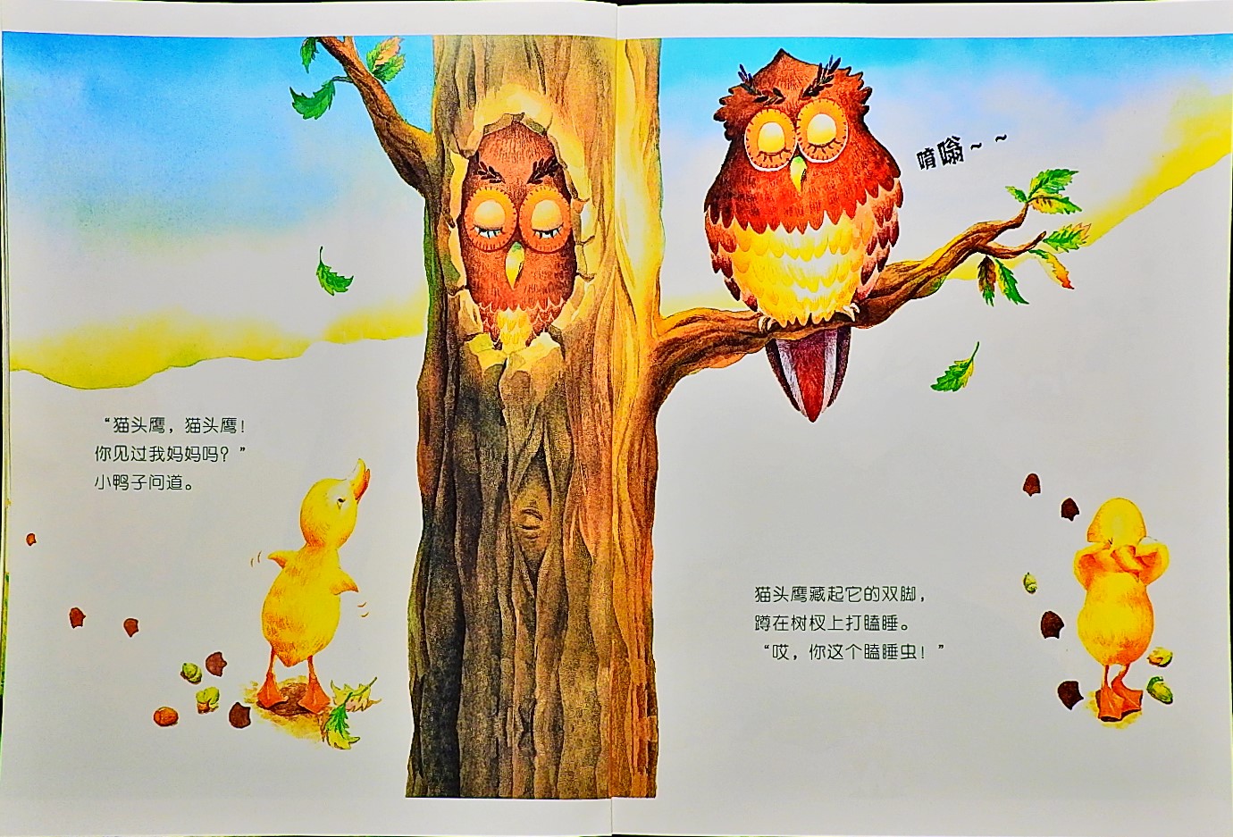 寻找鸭妈妈 (08),绘本,绘本故事,绘本阅读,故事书,童书,图画书,课外阅读